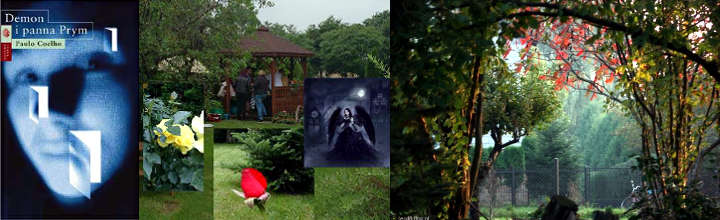 Paulo Coelho - Demon i panna Prym, MBP w Rudzie Śląskiej Dyskusyjnego Klubu Książki – DIALOG